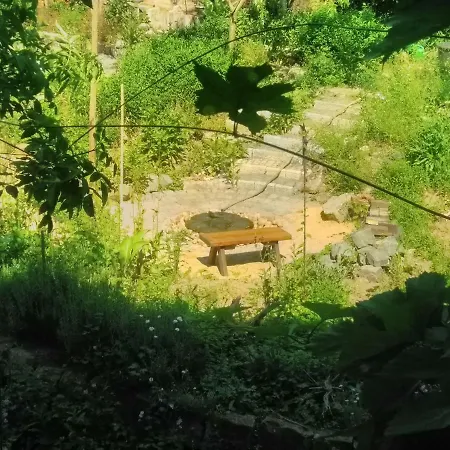 Gaestewohnung Im Naturgarten Naehe Steinhuder