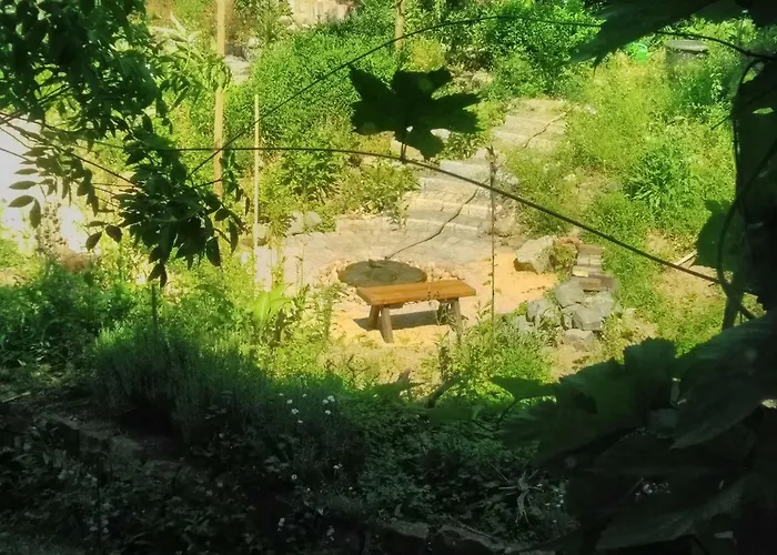 Gaestewohnung Im Naturgarten Naehe Steinhuder